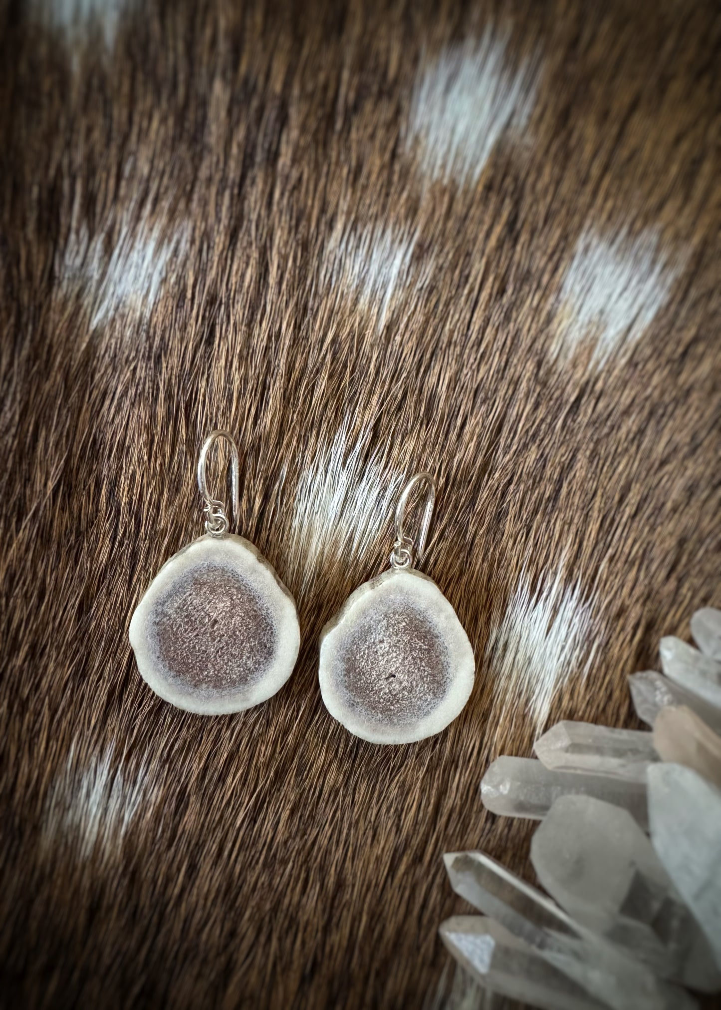 Sterling + Medium Antler Slice Earrings