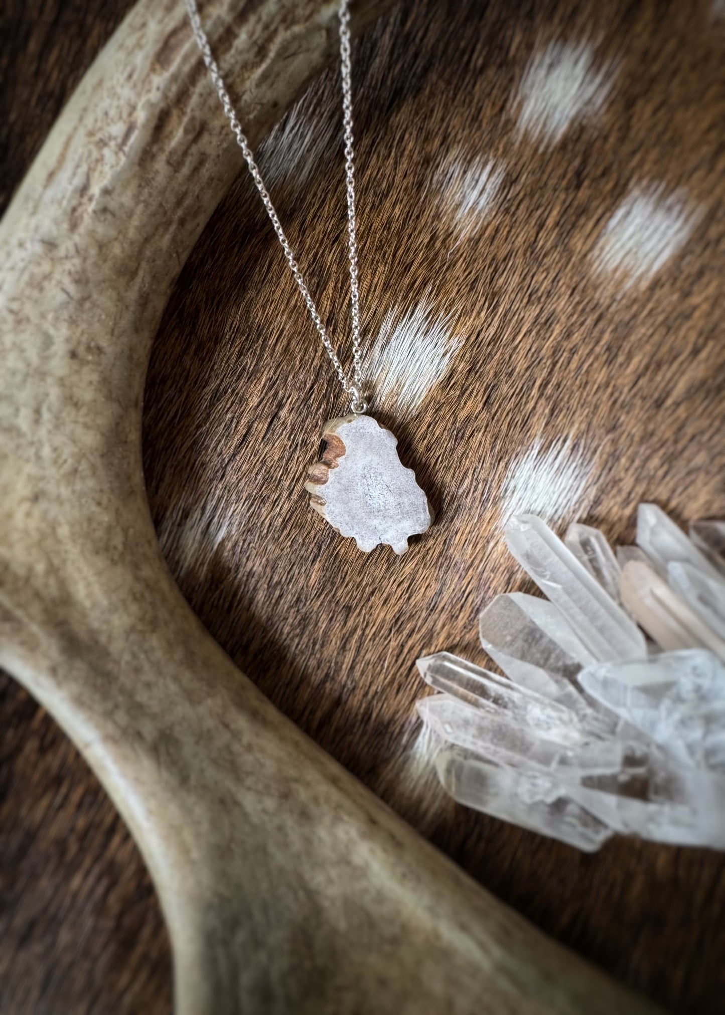 Sterling + Freestyle Antler Slice Necklace