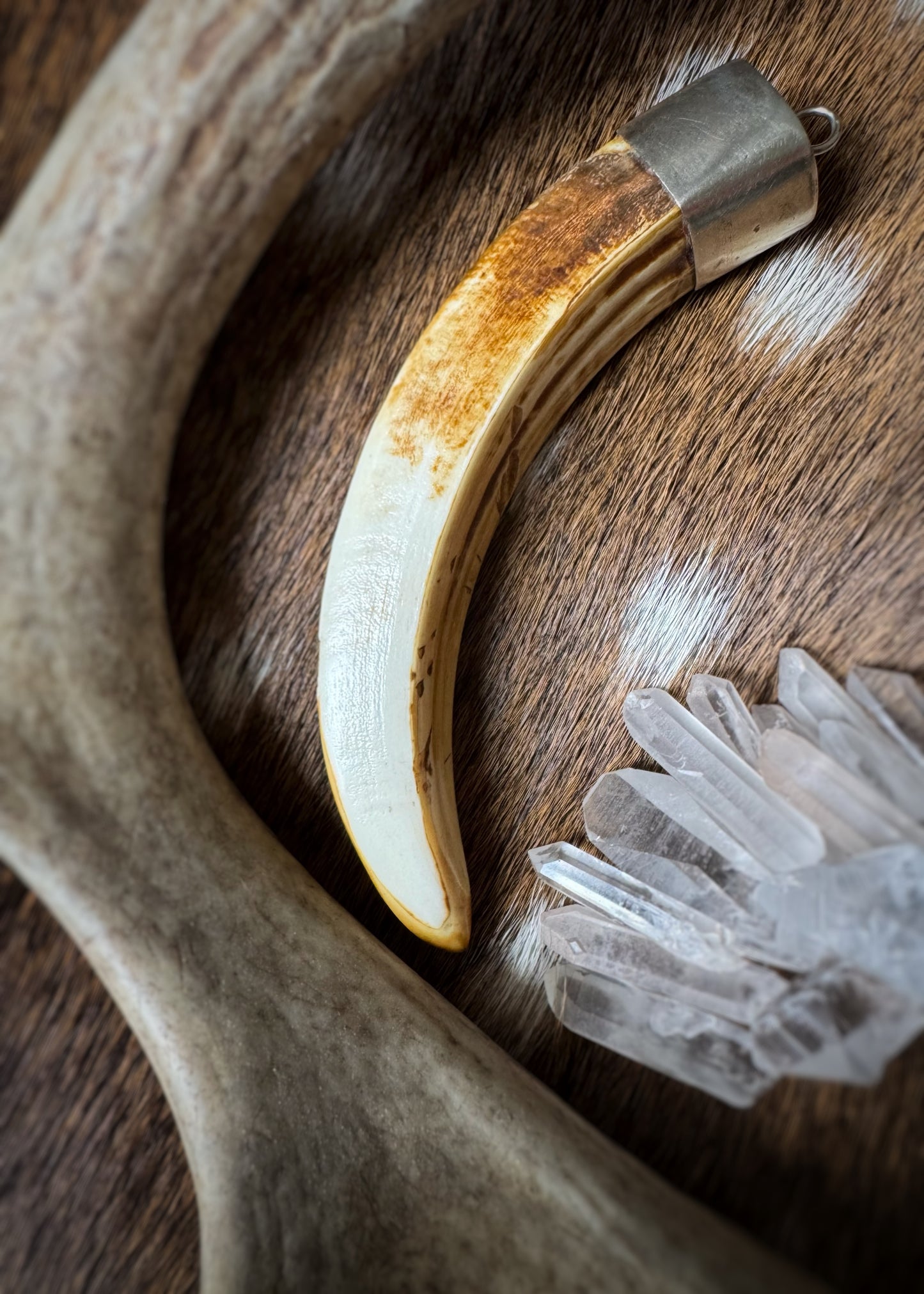 Estate Sterling + Boar's Tusk Pendant