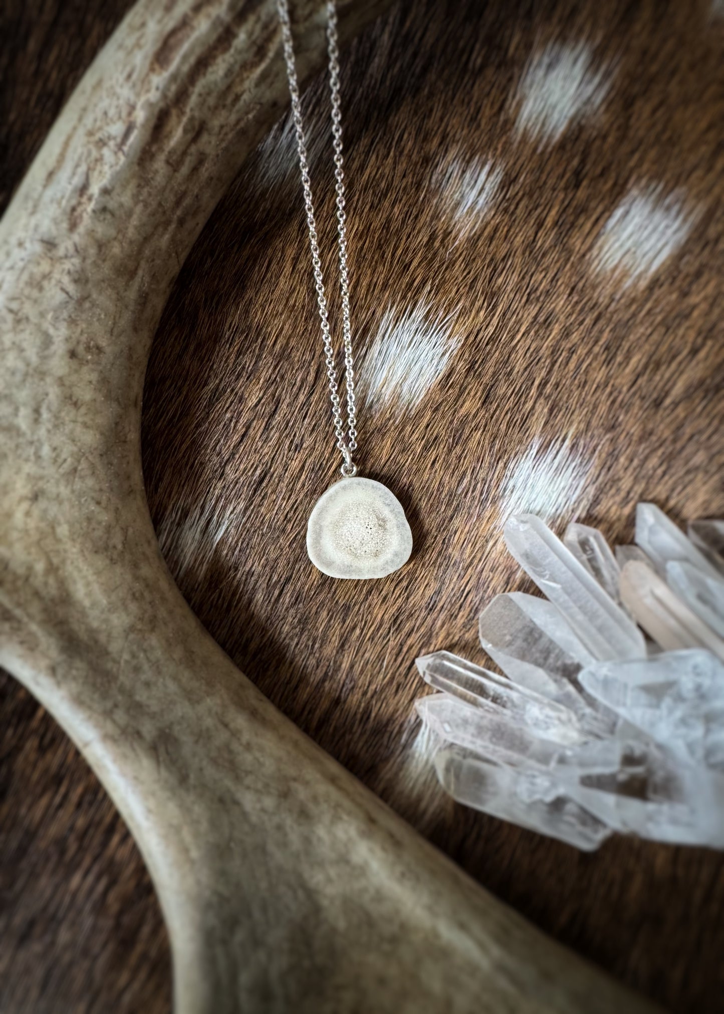 Sterling + Small Antler Slice Necklace