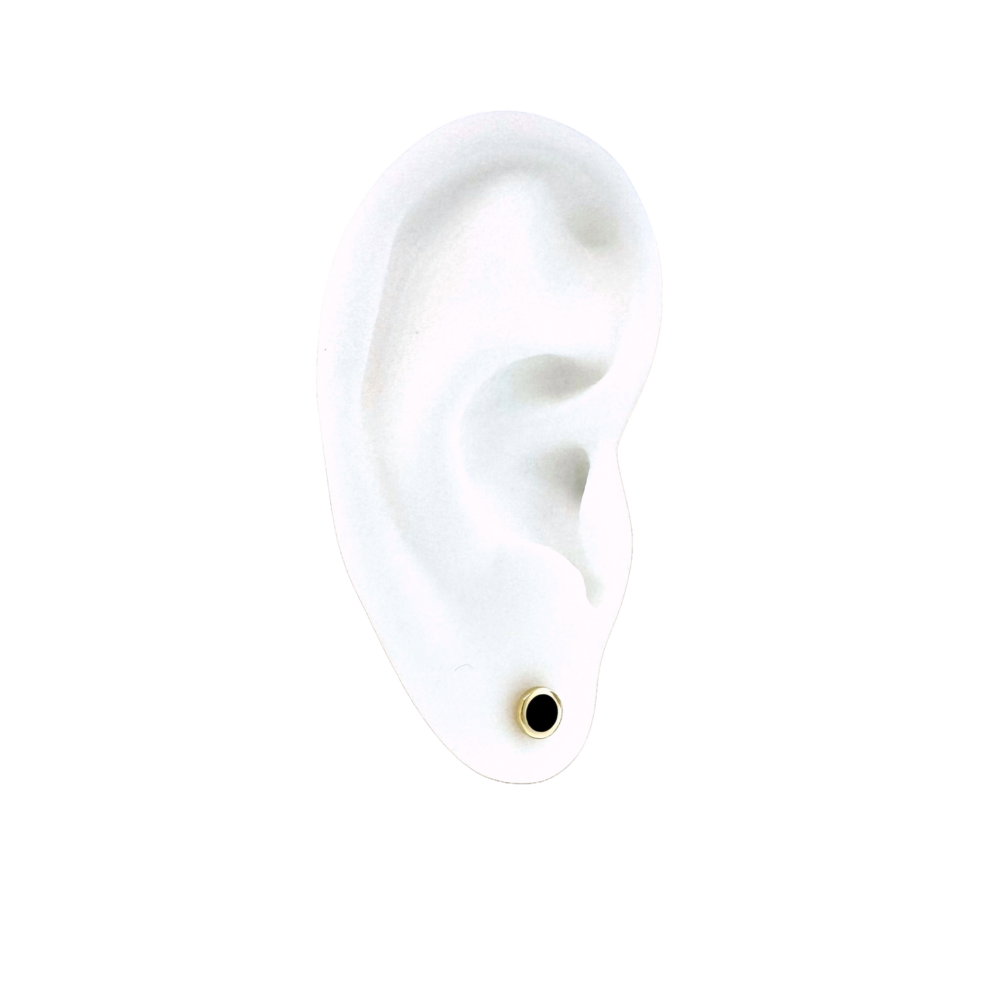 14k + Black Enamel Round Disc Stud Earrings