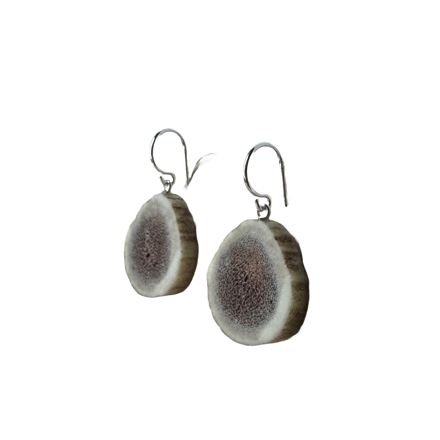 Sterling + Medium Antler Slice Earrings