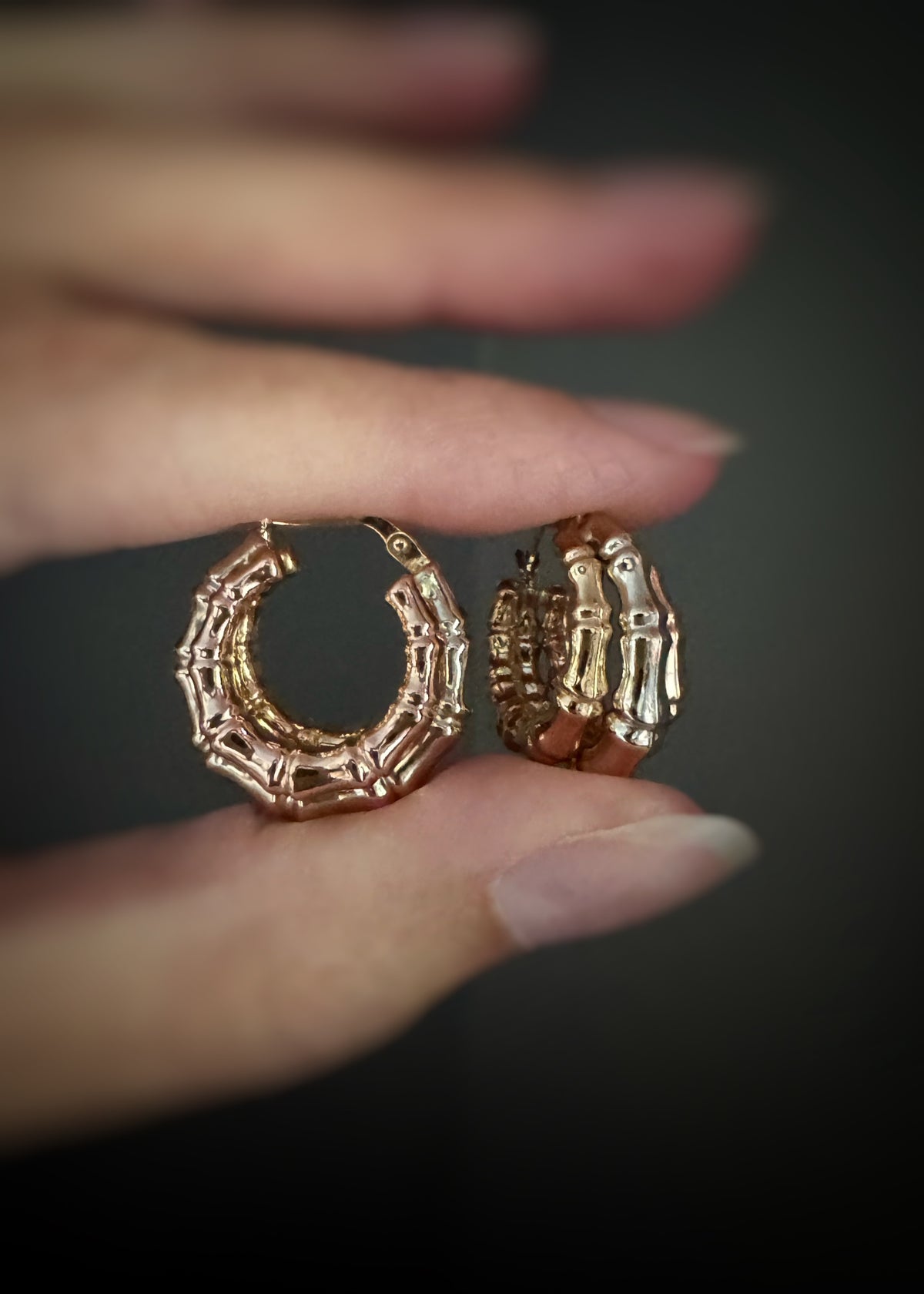 Estate 14k + Bamboo Hoop Earrings