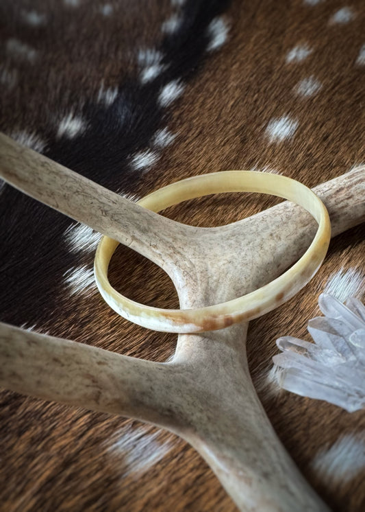 Horn Bangle Bracelet - Medium