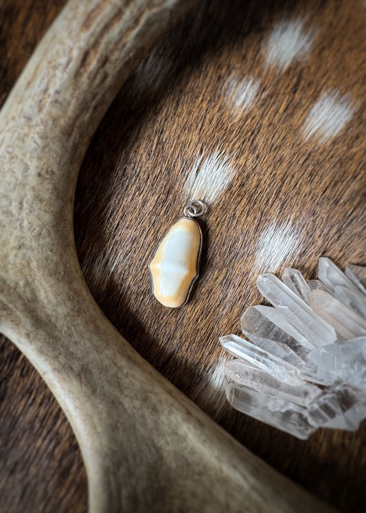 Estate Sterling Silver + Elk Tooth Pendant Charm