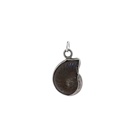 Estate Sterling Silver + Fossilized Ammonite Pendant Charm