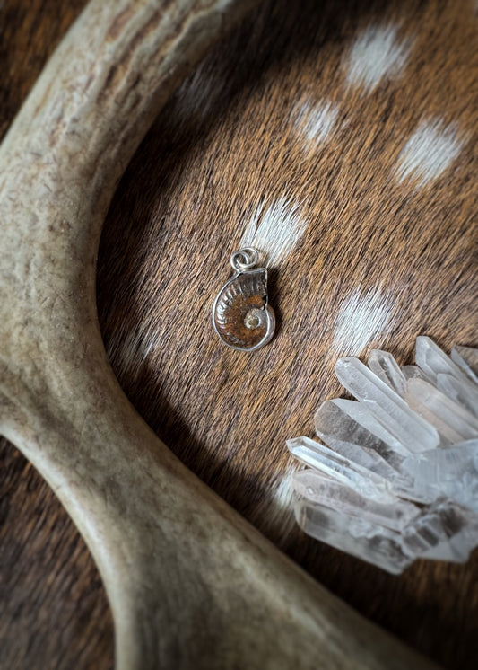 Estate Sterling Silver + Fossilized Ammonite Pendant Charm