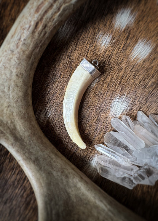 Vintage Sterling Silver + Boar's Tusk Pendant