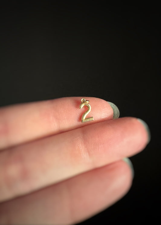10k + Small Numeral Charm 2